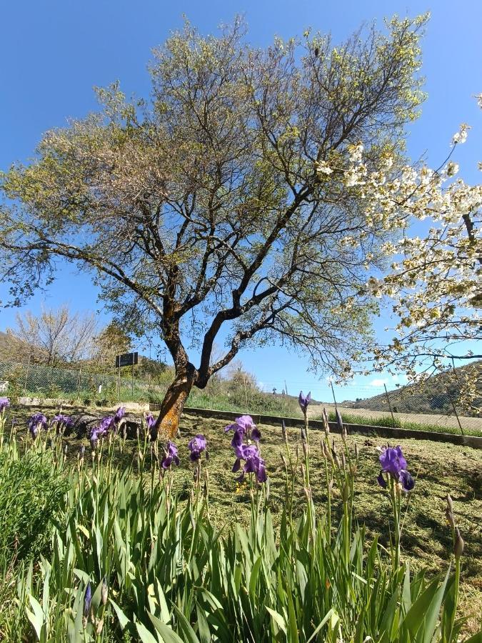 Agriturismo Terramia Meggiano Eksteriør bilde