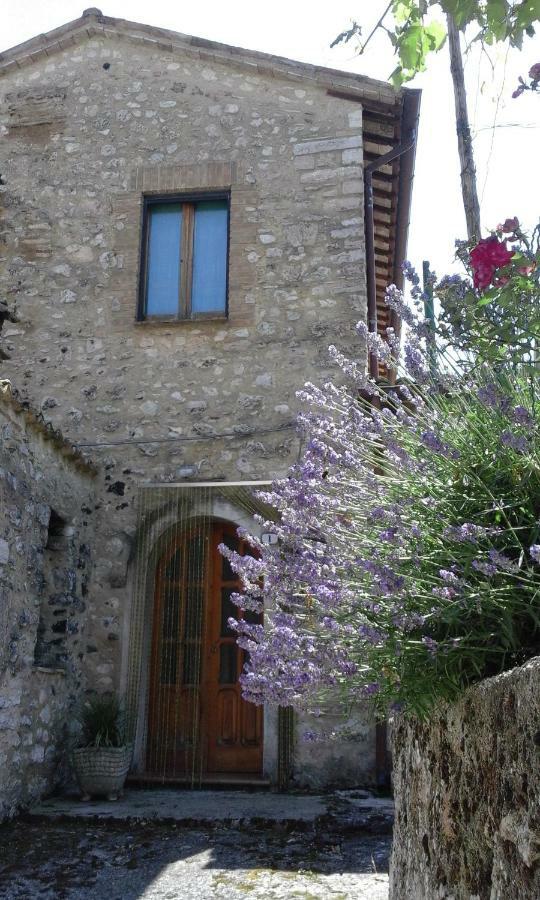 Agriturismo Terramia Meggiano Eksteriør bilde