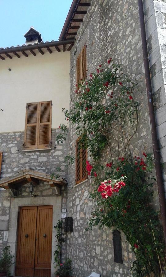 Agriturismo Terramia Meggiano Eksteriør bilde